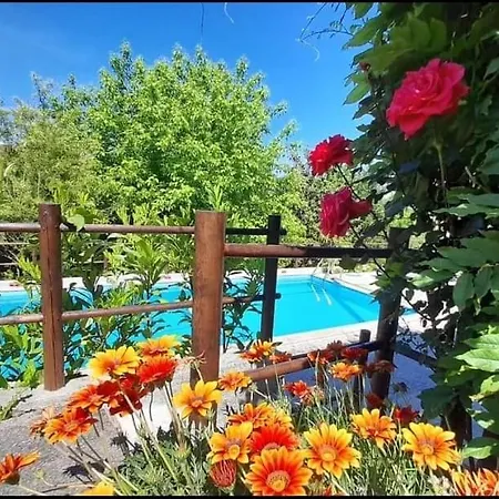 Casa Do Tapado * Amarante